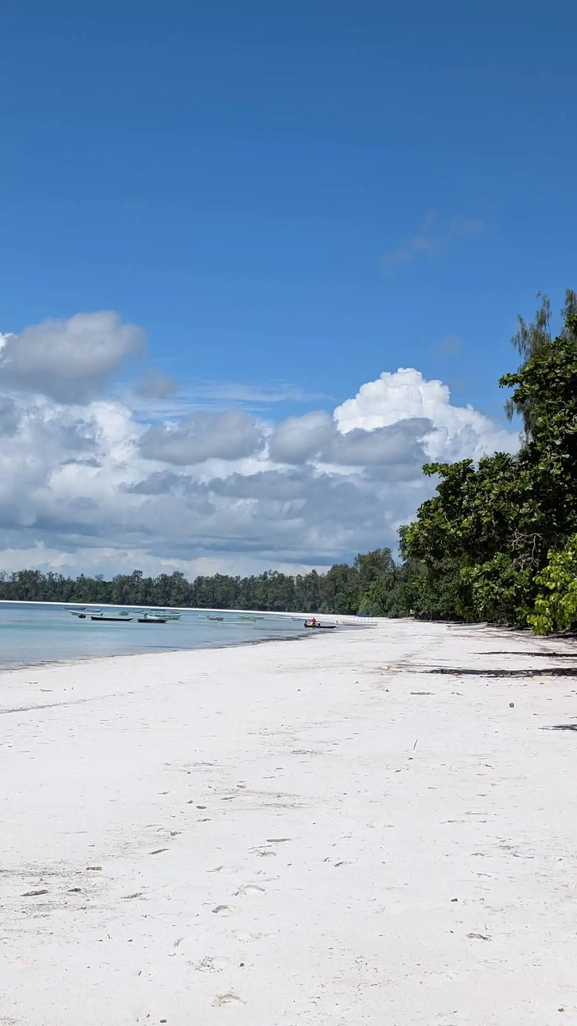 White sand curving away beside dense green trees, with small boats moored beyond.