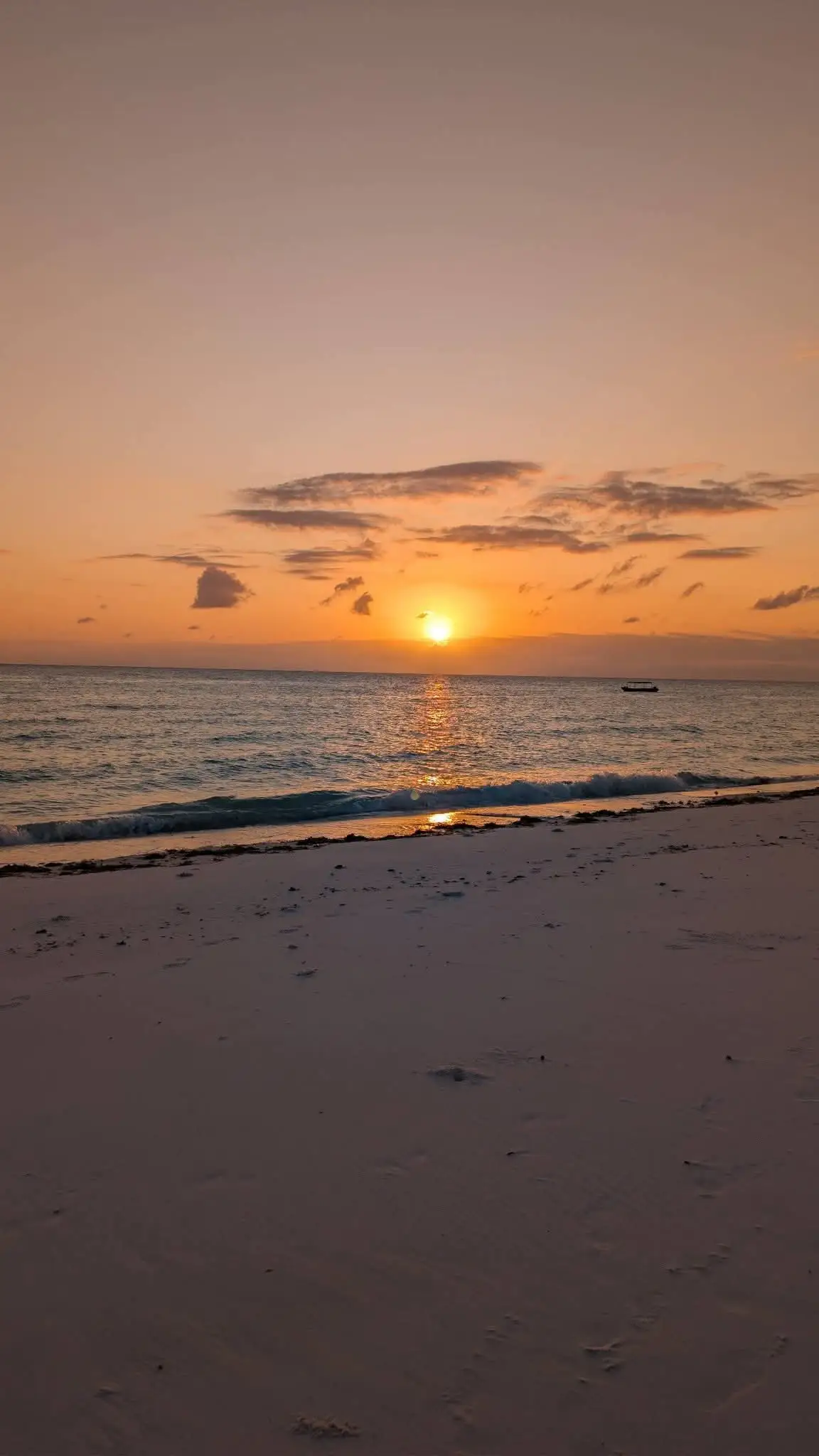 Soft orange afterglow over calm water and wet sand once the sun has gone down.