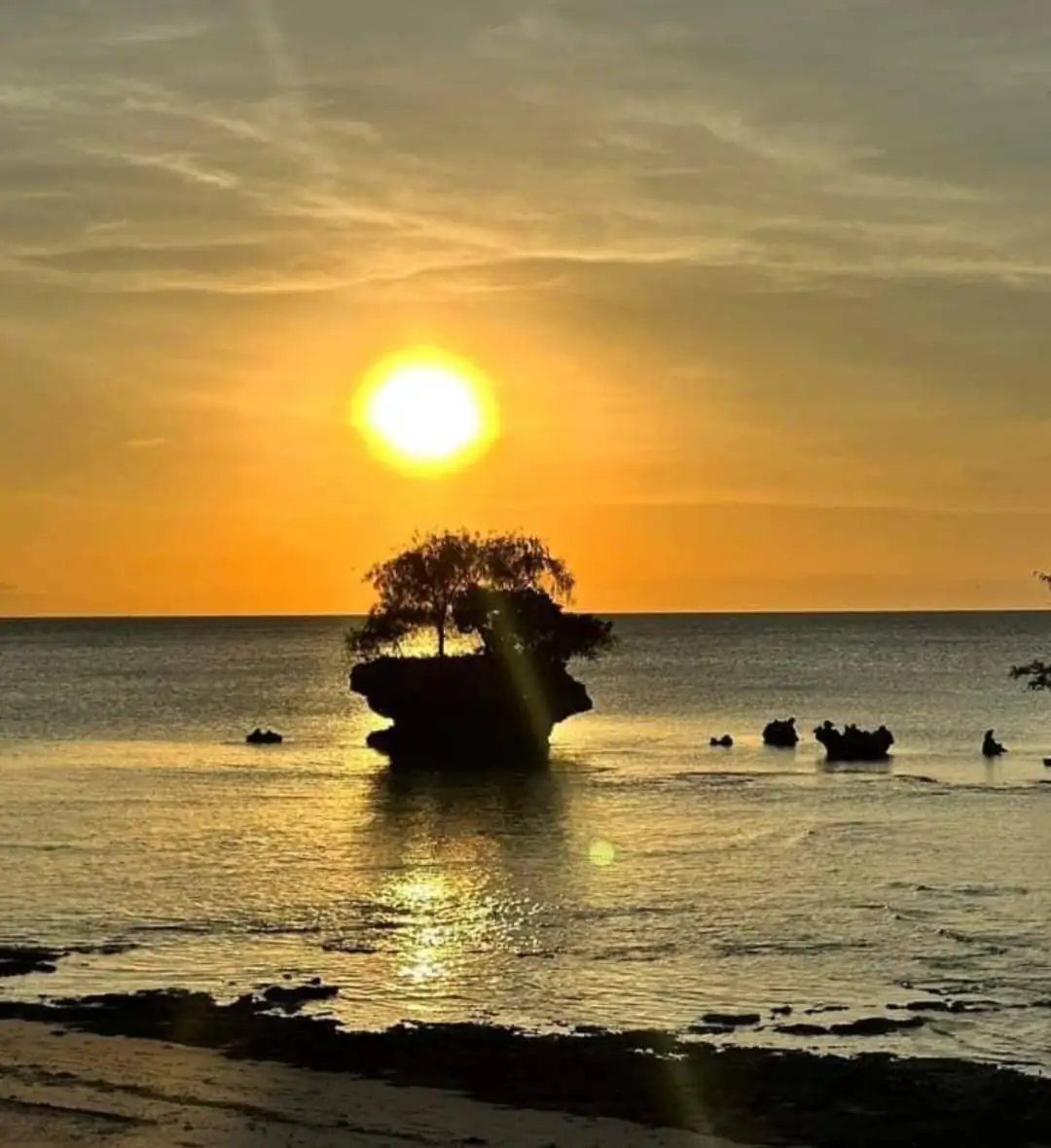 A small coral islet with a single tree on it, silhouetted against the setting sun on gold water.